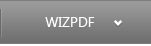 WizPDF